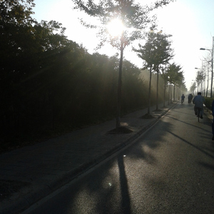 天天射天天干天天射天天干天天骑
